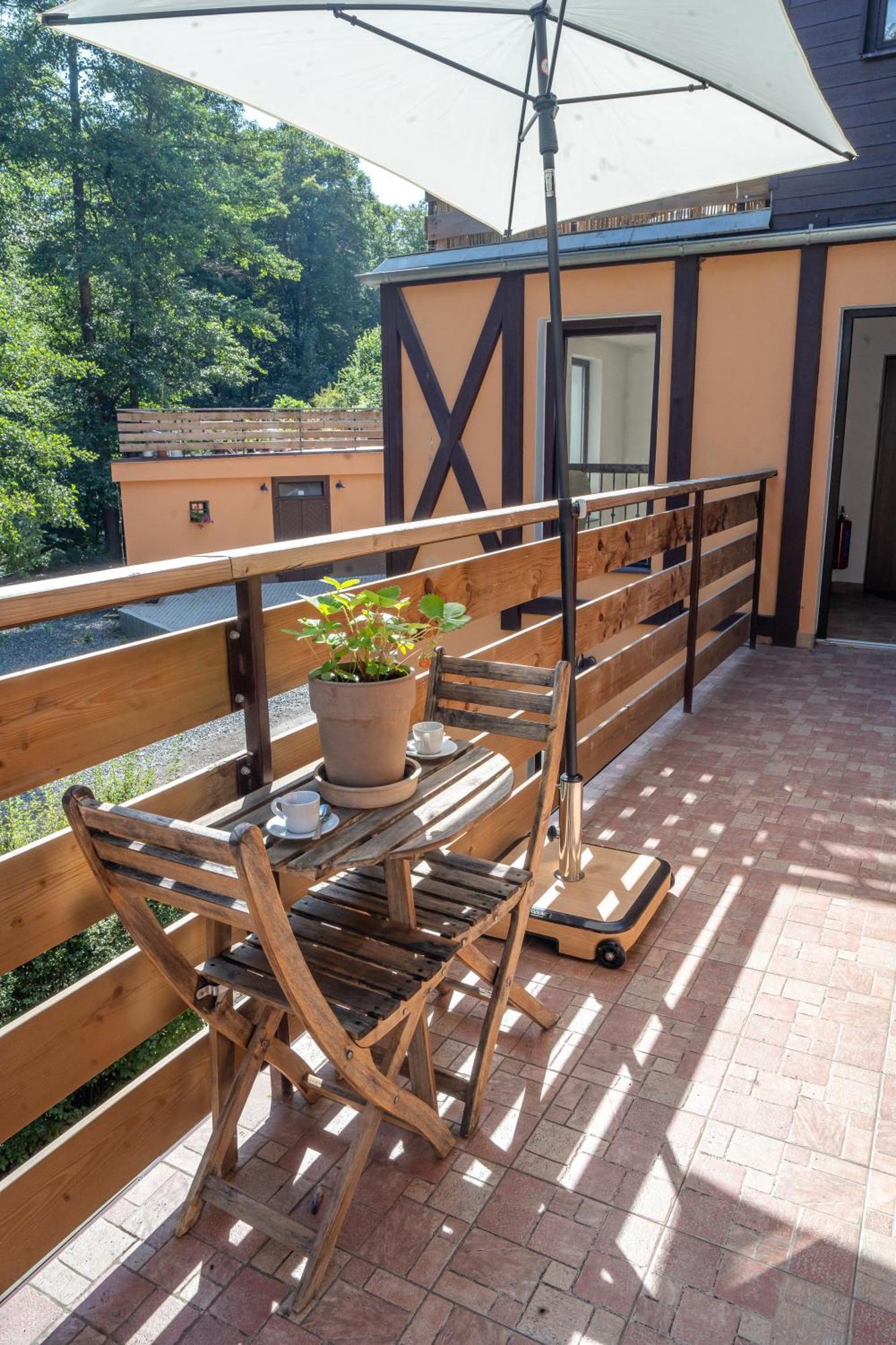 Apartment Spaleny Mlyn *