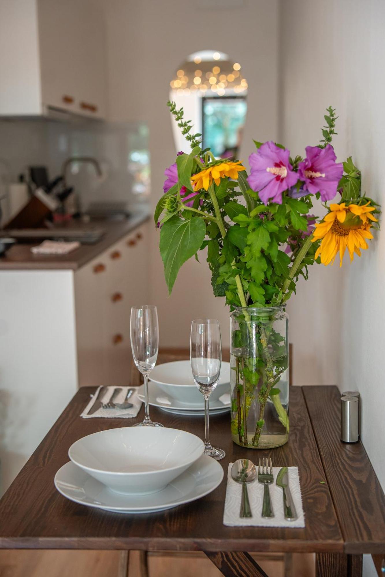 Apartment Spaleny Mlyn *