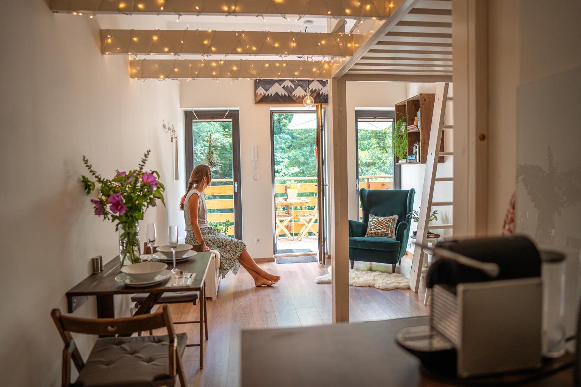 Apartment Spaleny Mlyn